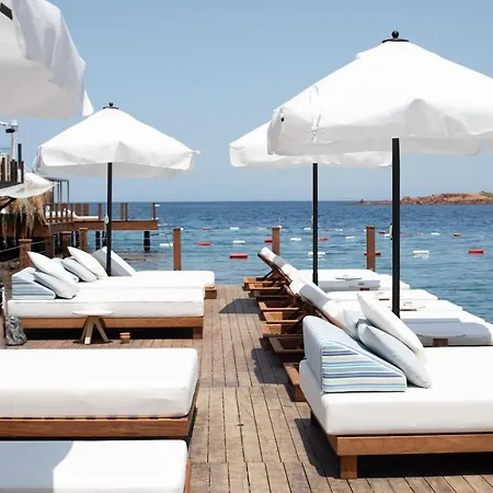 Yalikavak Tilkicik Koyu Bodrum